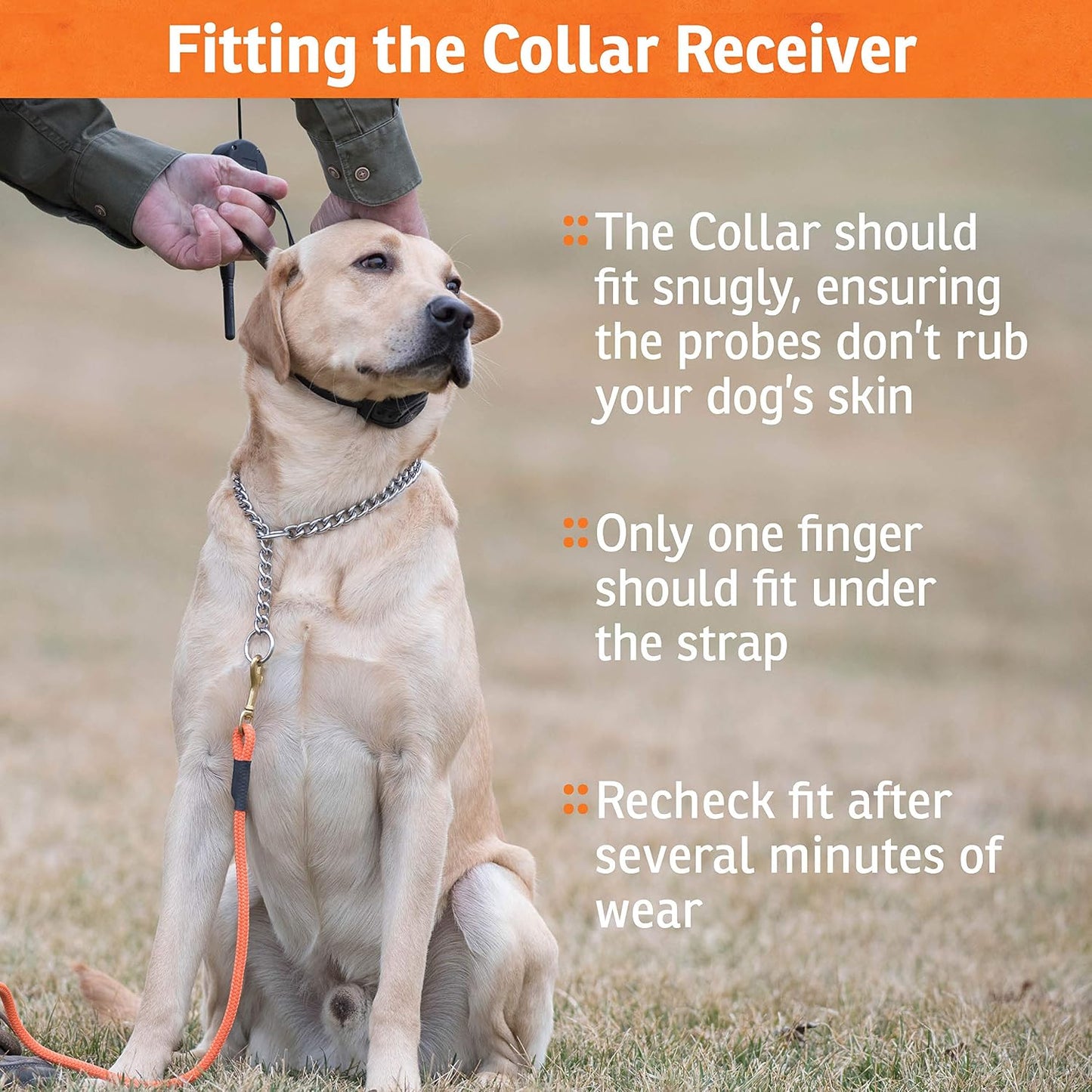 SportDOG NoBark SBC-8 - Collar ligero de corrección progresiva de l...