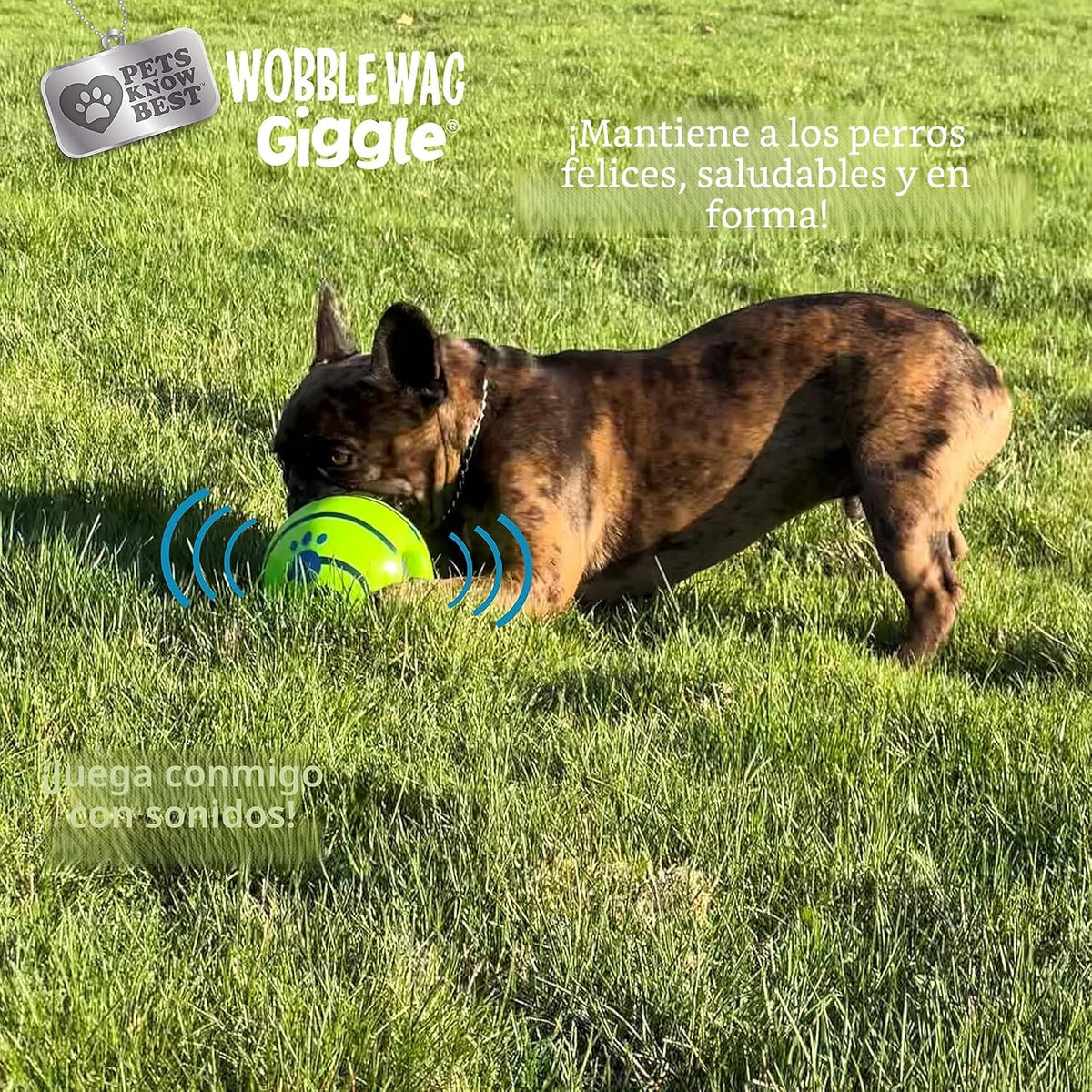 Perro de juguete, Wobble WAG Giggle Balón, M, Verde