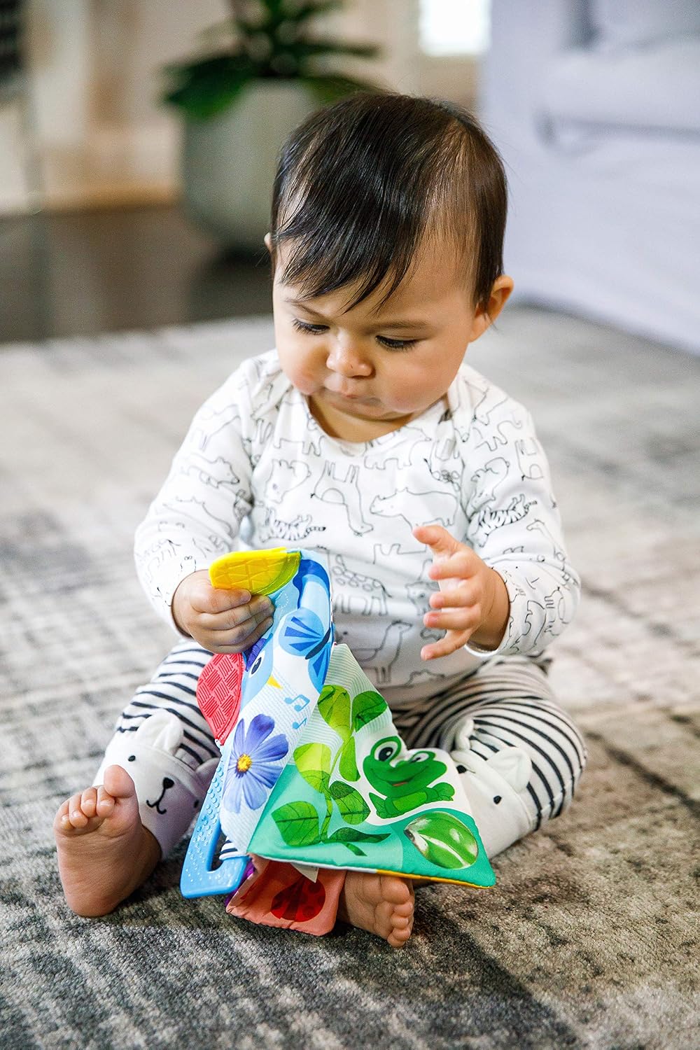 Baby Einstein Curious Explorers - Libro mordedor, juguete para llev...