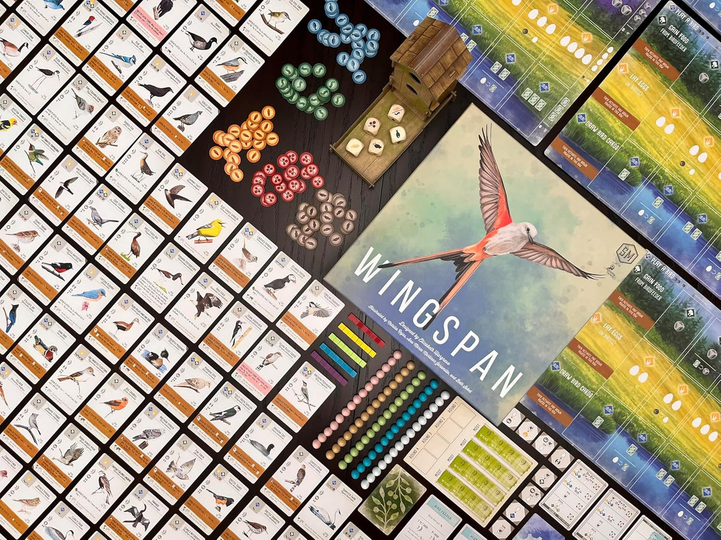 Stonemaier Games: Wingspan (Juego Base) de Elizabeth Hargrave | Un...
