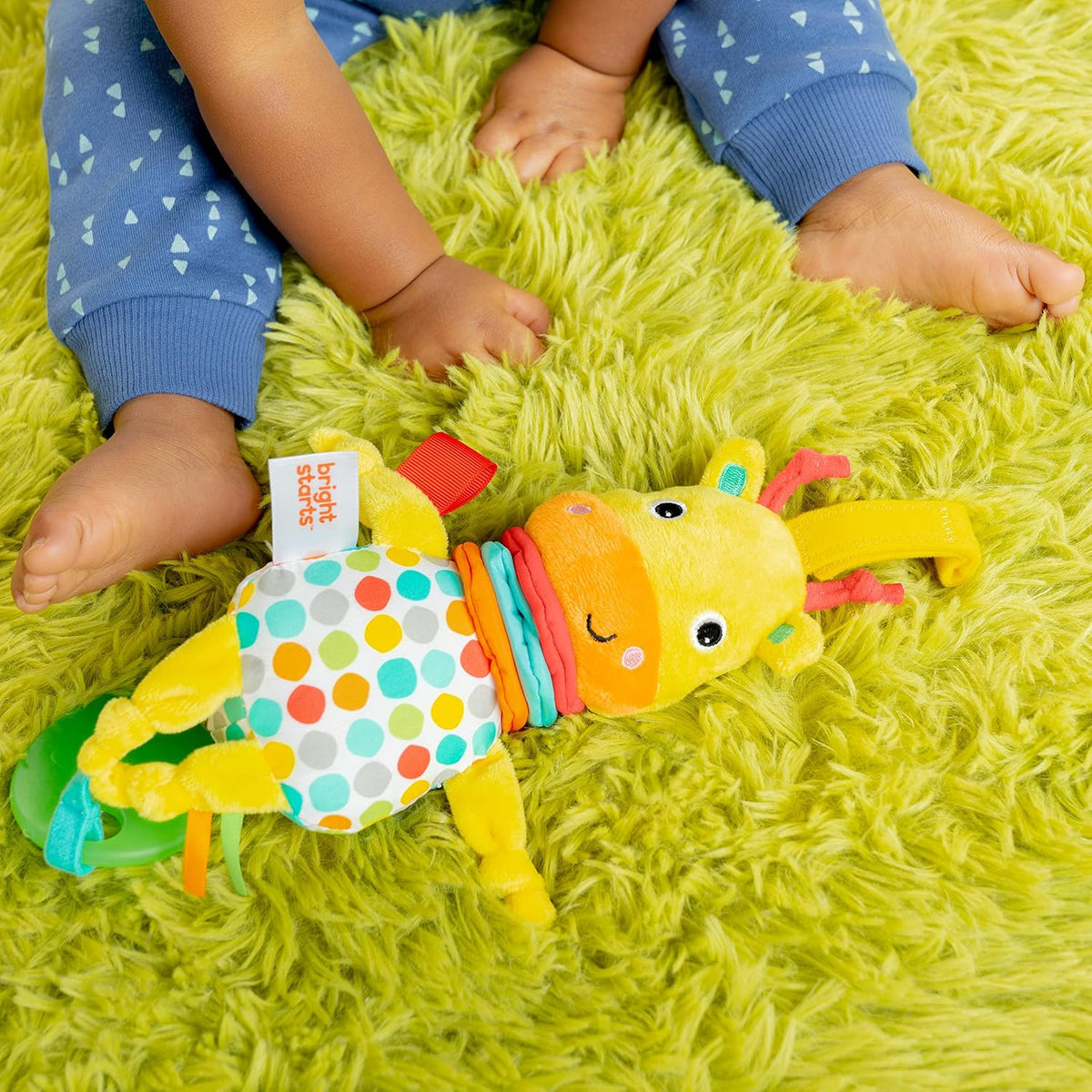 Bright Starts Pull, Play &amp; Boogie - Juguete de actividad musica...