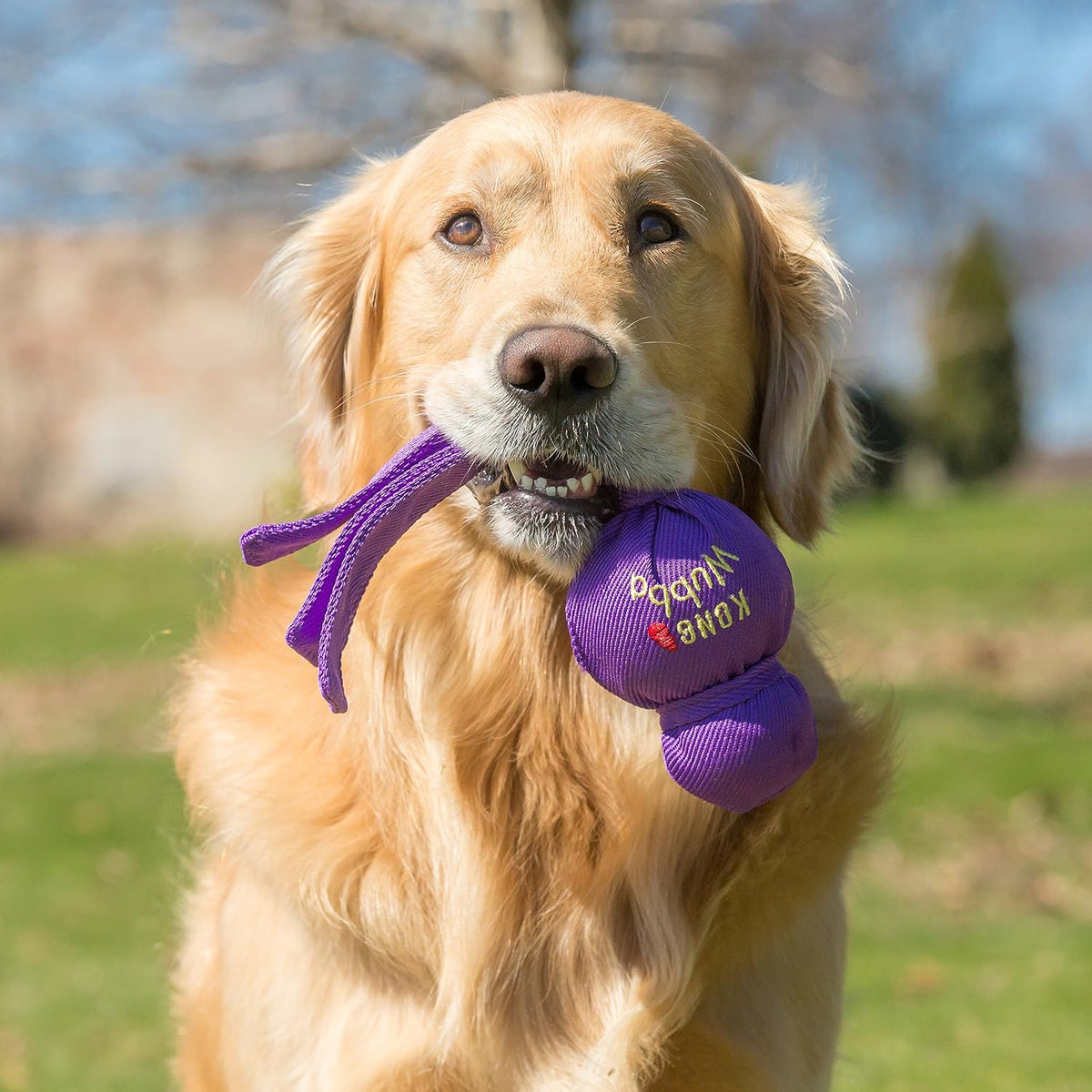 KONG Wubba - Juguete para perros para tirón de guerra y busca - Sum...