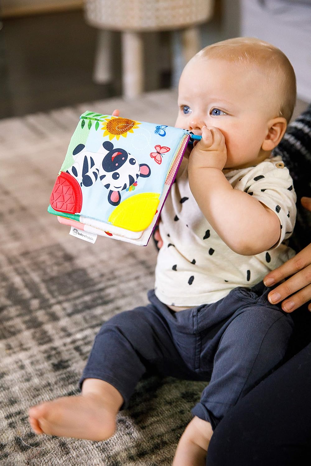 Baby Einstein Curious Explorers - Libro mordedor, juguete para llev...