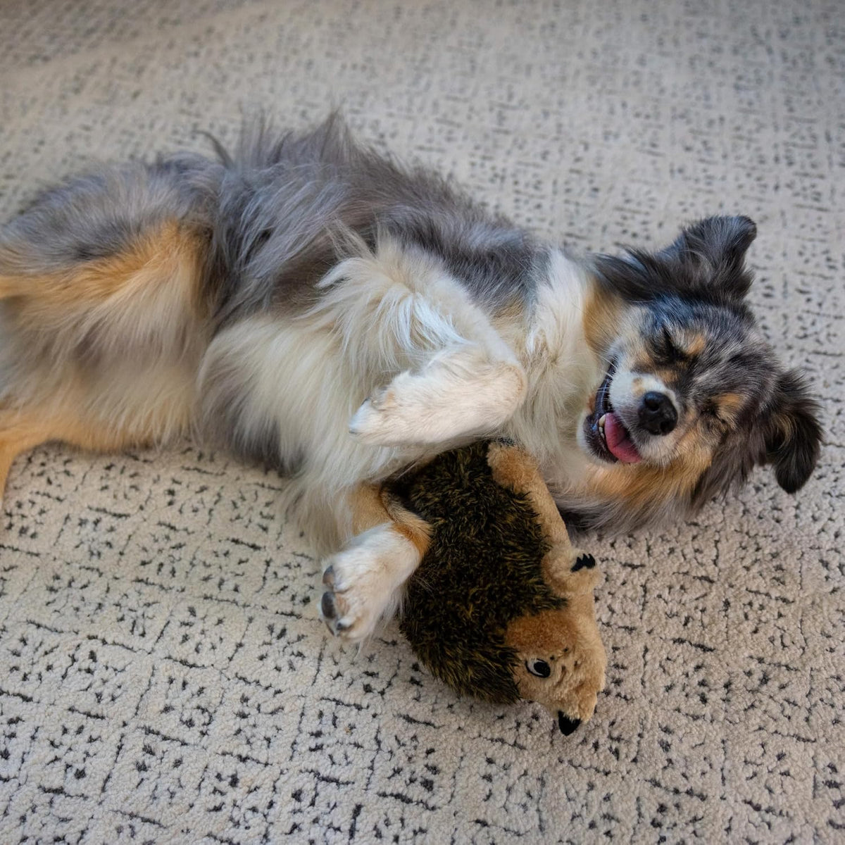 Outward Hound, juguete de peluche Hedgehogz para perro, tamaño medi...