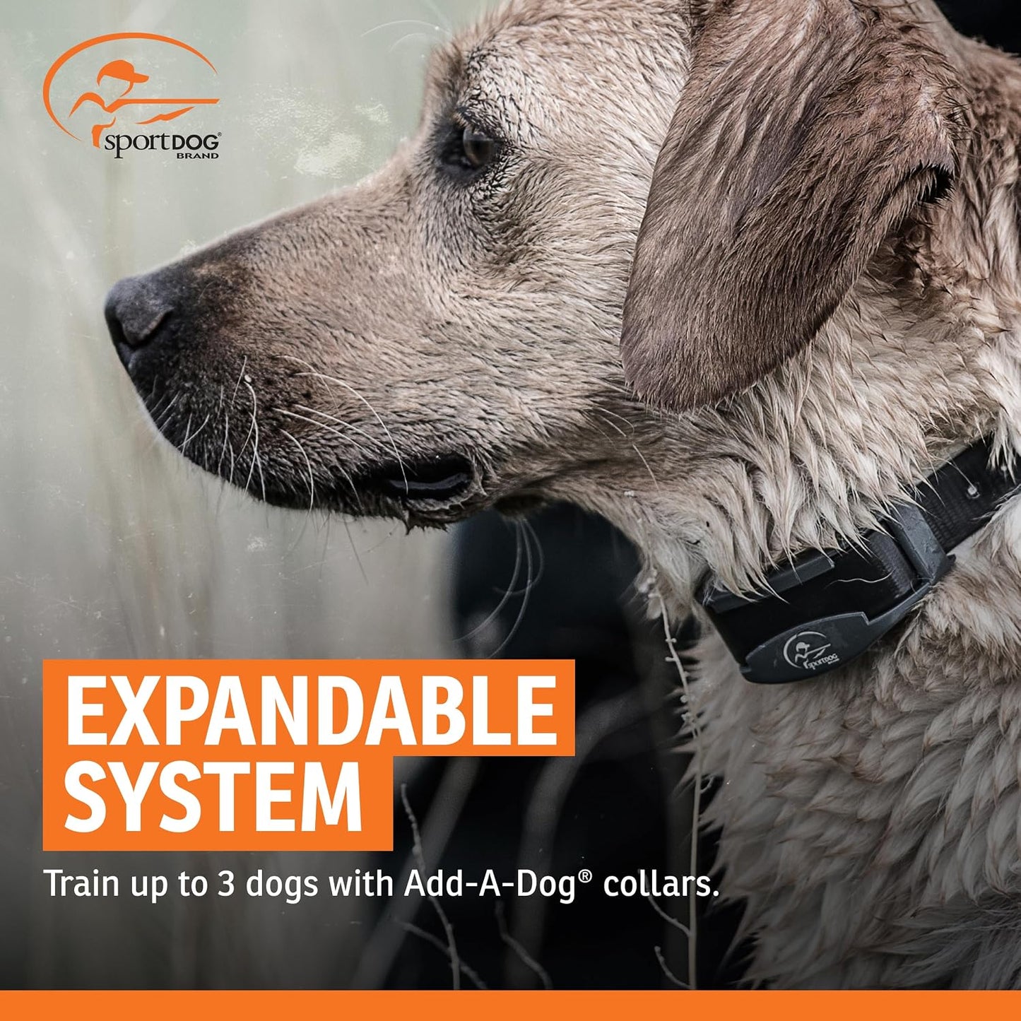 SportDOG SportHunter 825X - Entrenador remoto para perros, rango de...