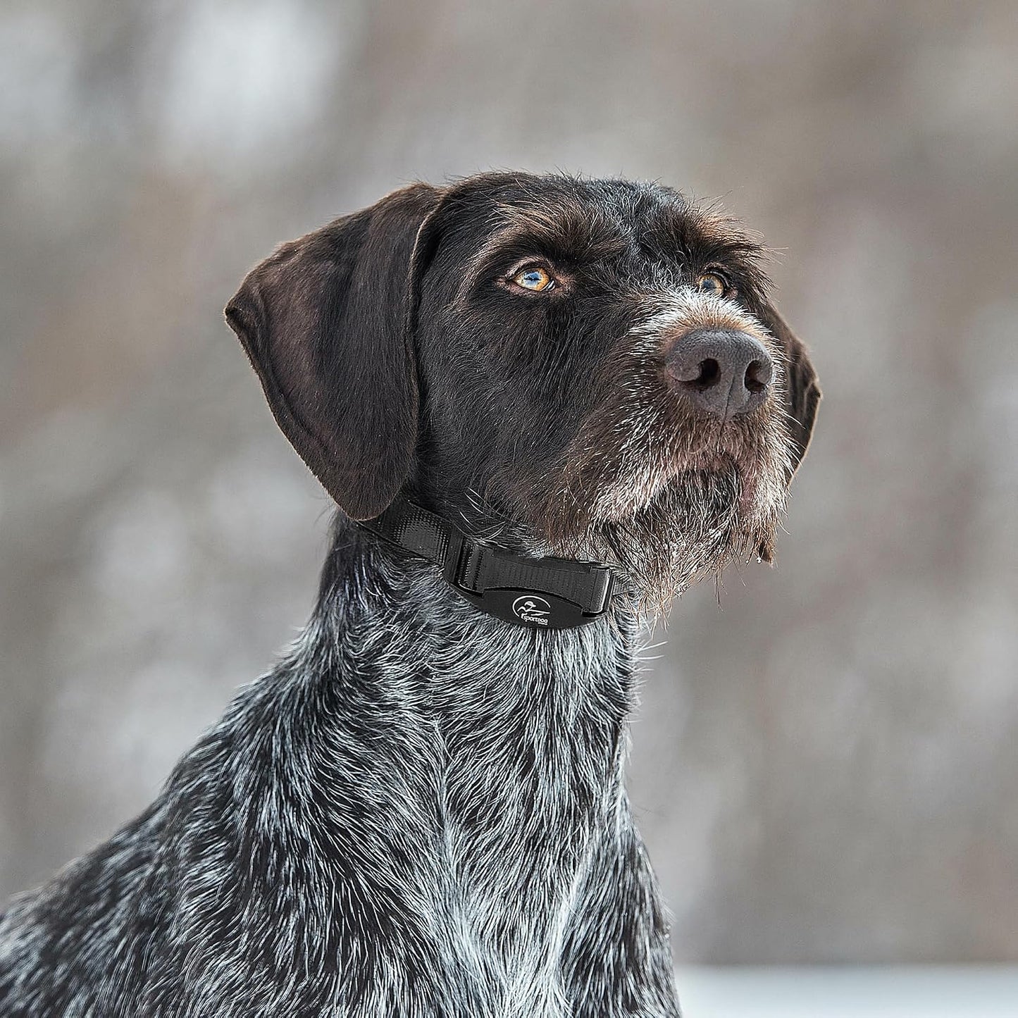 SportDOG NoBark SBC-8 - Collar ligero de corrección progresiva de l...