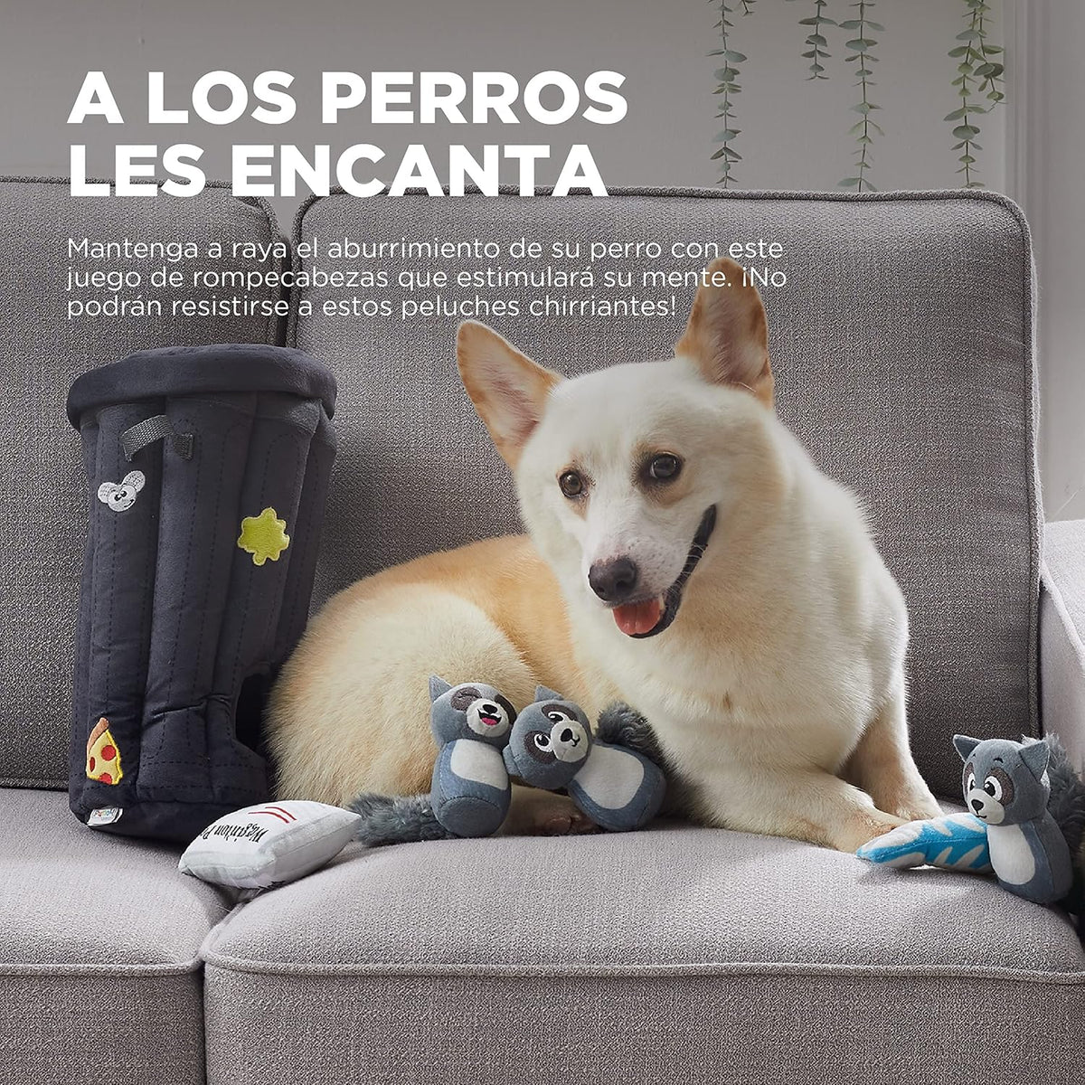 Outward Hound Hide A Raccoon Juguete Rompecabezas de Peluche para P...